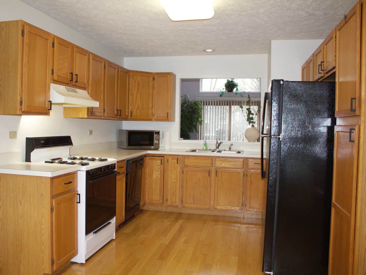 4208 Whitetail Court