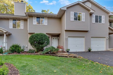Photo of 4208 Whitetail Court, Joliet, IL 60431 (MLS # 12537883)