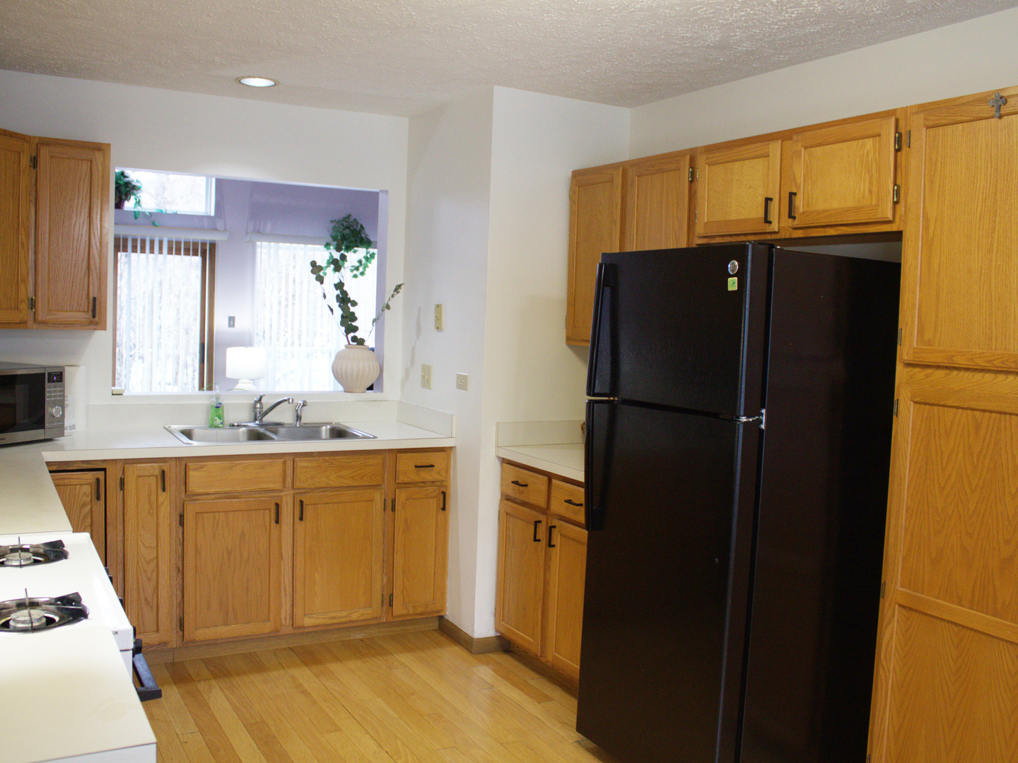 4208 Whitetail Court