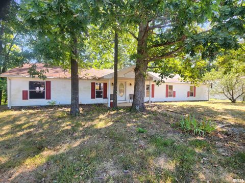 Tiny photo for 1230 US Hwy 45 N, Vienna, IL 62995 (MLS # QC4261732)