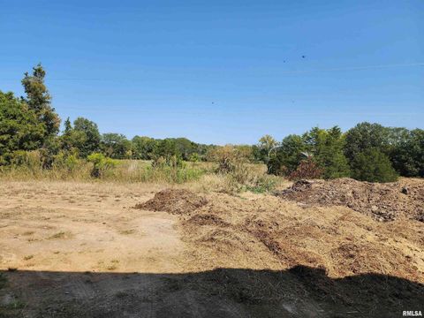 Tiny photo for 1230 US Hwy 45 N, Vienna, IL 62995 (MLS # QC4261732)