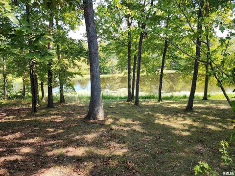 Tiny photo for 1230 US Hwy 45 N, Vienna, IL 62995 (MLS # QC4261732)