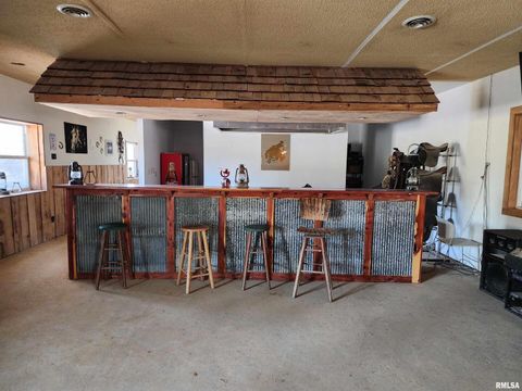 Tiny photo for 1230 US Hwy 45 N, Vienna, IL 62995 (MLS # QC4261732)