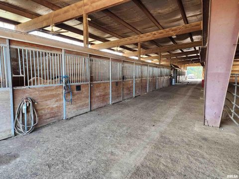 Tiny photo for 1230 US Hwy 45 N, Vienna, IL 62995 (MLS # QC4261732)