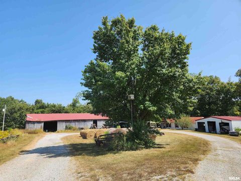 Tiny photo for 1230 US Hwy 45 N, Vienna, IL 62995 (MLS # QC4261732)