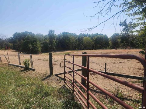 Tiny photo for 1230 US Hwy 45 N, Vienna, IL 62995 (MLS # QC4261732)