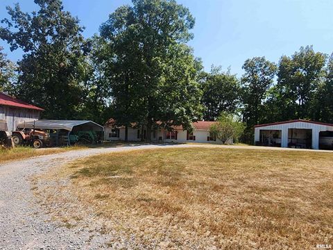 Tiny photo for 1230 US Hwy 45 N, Vienna, IL 62995 (MLS # QC4261732)