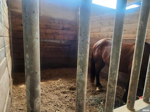 Tiny photo for 1230 US Hwy 45 N, Vienna, IL 62995 (MLS # QC4261732)