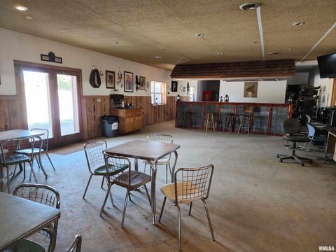 Tiny photo for 1230 US Hwy 45 N, Vienna, IL 62995 (MLS # QC4261732)