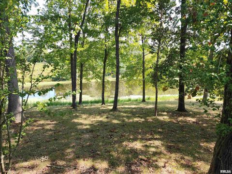 Tiny photo for 1230 US Hwy 45 N, Vienna, IL 62995 (MLS # QC4261732)