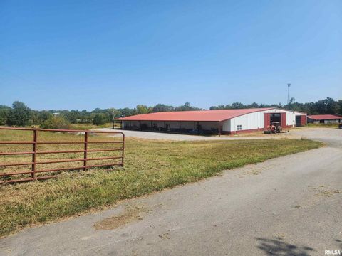 Tiny photo for 1230 US Hwy 45 N, Vienna, IL 62995 (MLS # QC4261732)