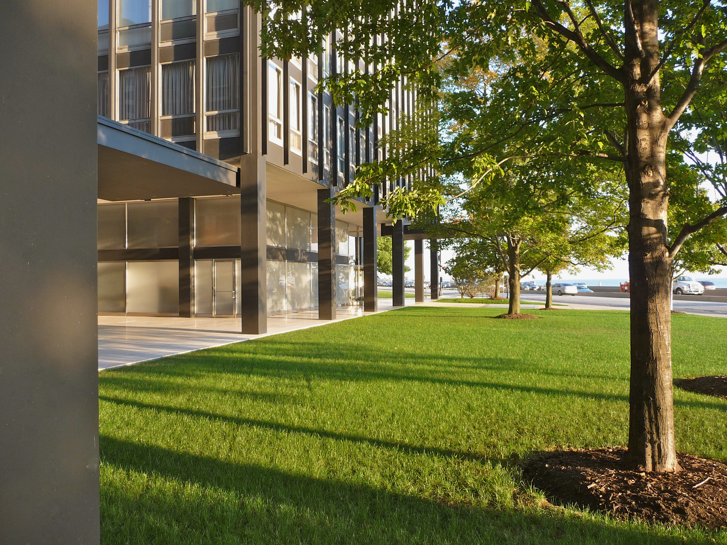 Chicago, Illinois 60611, United States, 1 Bedroom Bedrooms, ,1 BathroomBathrooms,Residential,Active,175288