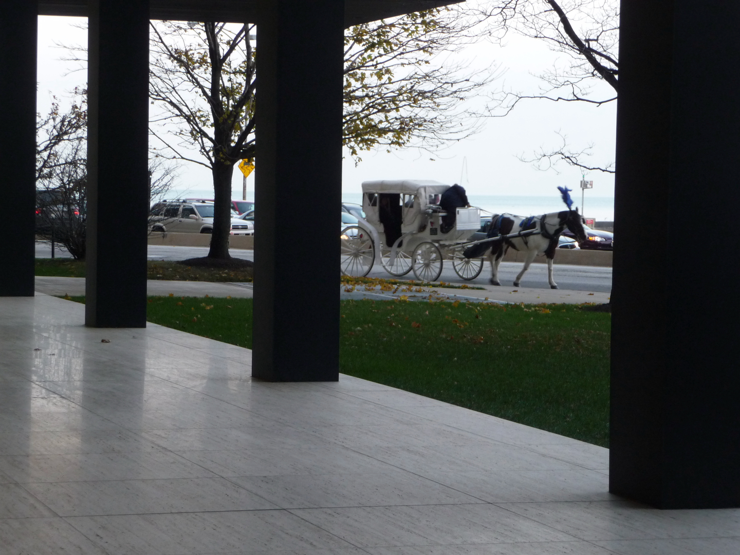 Chicago, Illinois 60611, United States, 1 Bedroom Bedrooms, ,1 BathroomBathrooms,Residential,Active,175288