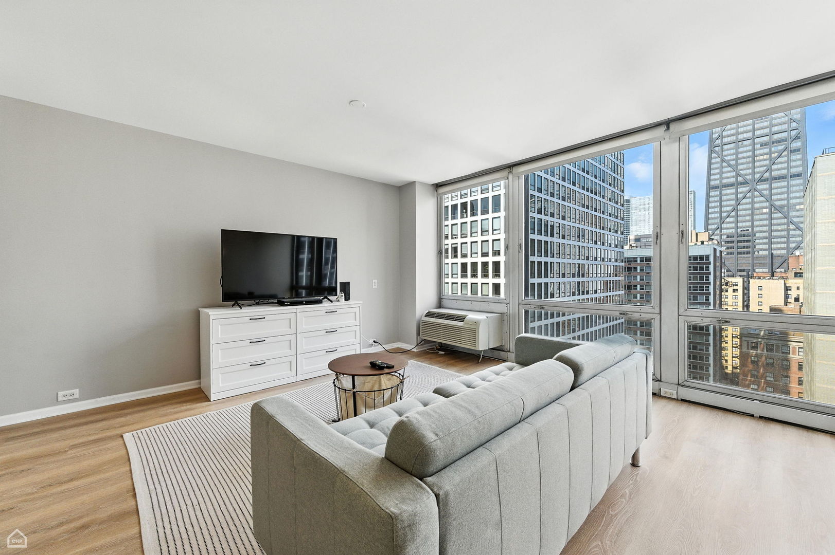 880 N Lake Shore Drive 17G