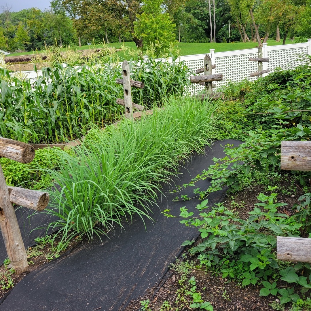 LOT 2, 404 Caesar Drive