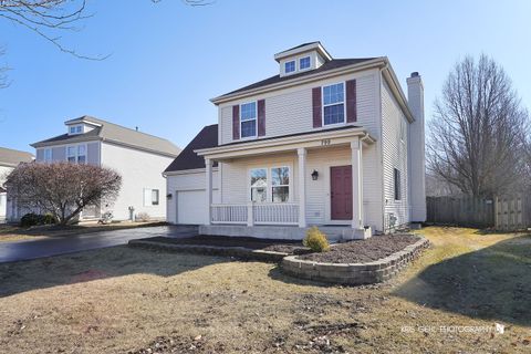 799 S Waterbury Drive Round Lake IL 60073