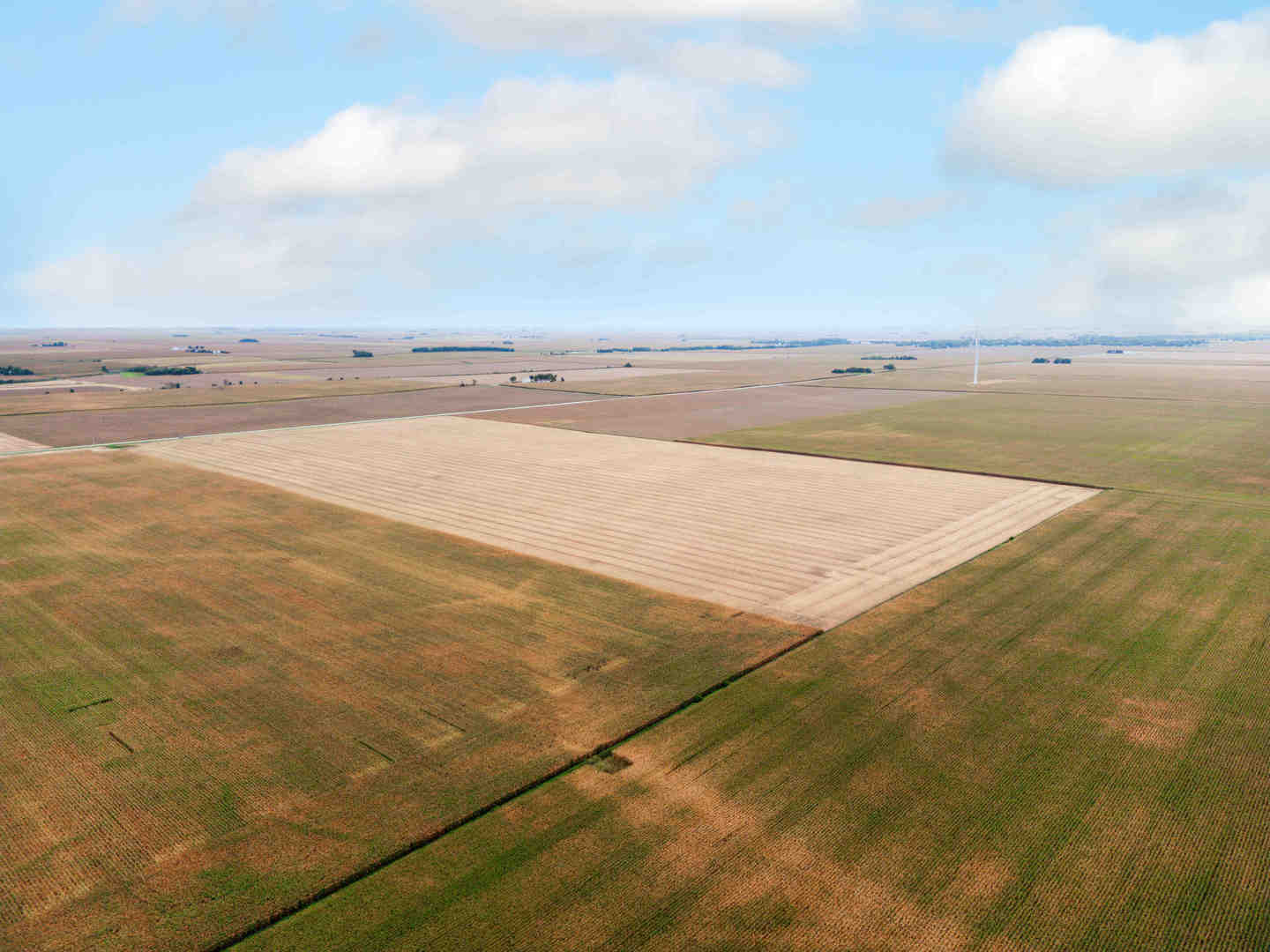 80 Acres Off E 2000 North Road