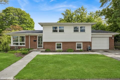 803 W Miner Street Arlington Heights IL 60005