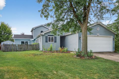 854 Plains Court Carol Stream IL 60188