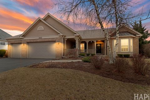 3203 KENDALL Crossing Johnsburg IL 60051