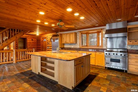 Tiny photo for 221 Poplar Lake Road, Makanda, IL 62958 (MLS # EB459088)