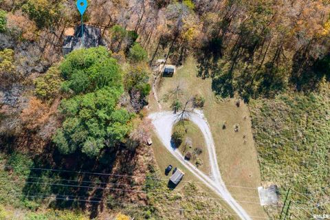 Tiny photo for 221 Poplar Lake Road, Makanda, IL 62958 (MLS # EB459088)