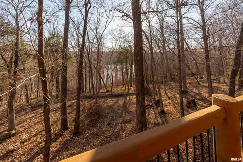 Tiny photo for 221 Poplar Lake Road, Makanda, IL 62958 (MLS # EB459088)