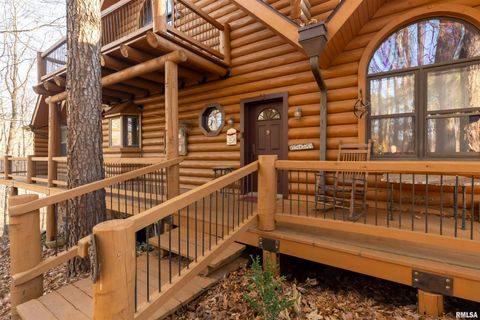 Tiny photo for 221 Poplar Lake Road, Makanda, IL 62958 (MLS # EB459088)