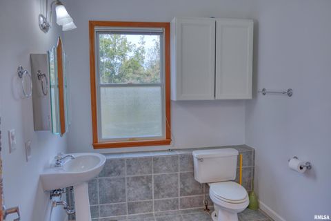 Tiny photo for 6873 Old Highway 13 Highway, Carbondale, IL 62901 (MLS # EB460318)