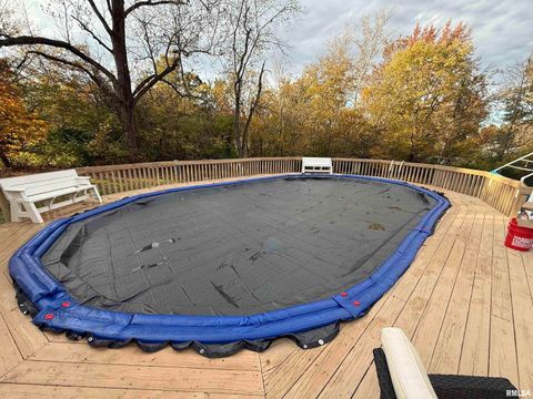 Tiny photo for 6873 Old Highway 13 Highway, Carbondale, IL 62901 (MLS # EB460318)