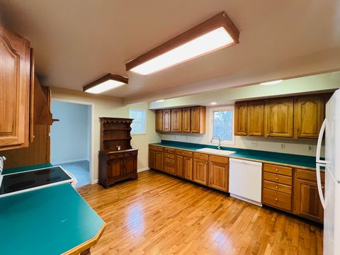 Tiny photo for 1007 Murphy Street, Eldorado, IL 62930 (MLS # 12550335)