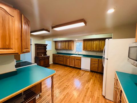 Tiny photo for 1007 Murphy Street, Eldorado, IL 62930 (MLS # 12550335)