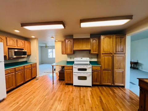 Tiny photo for 1007 Murphy Street, Eldorado, IL 62930 (MLS # 12550335)