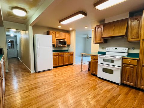 Tiny photo for 1007 Murphy Street, Eldorado, IL 62930 (MLS # 12550335)