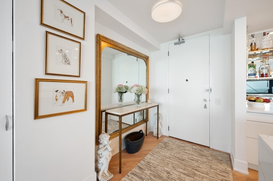 910 N Lake Shore Drive 819