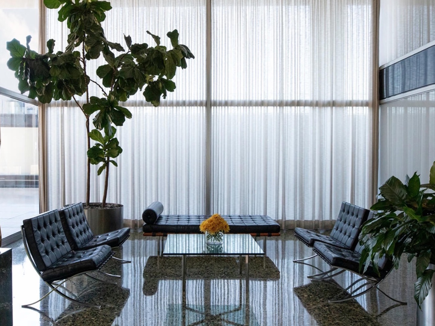 910 N Lake Shore Drive 819