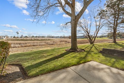 Tiny photo for Elk Grove Village, IL 60007 (MLS # 12518633)