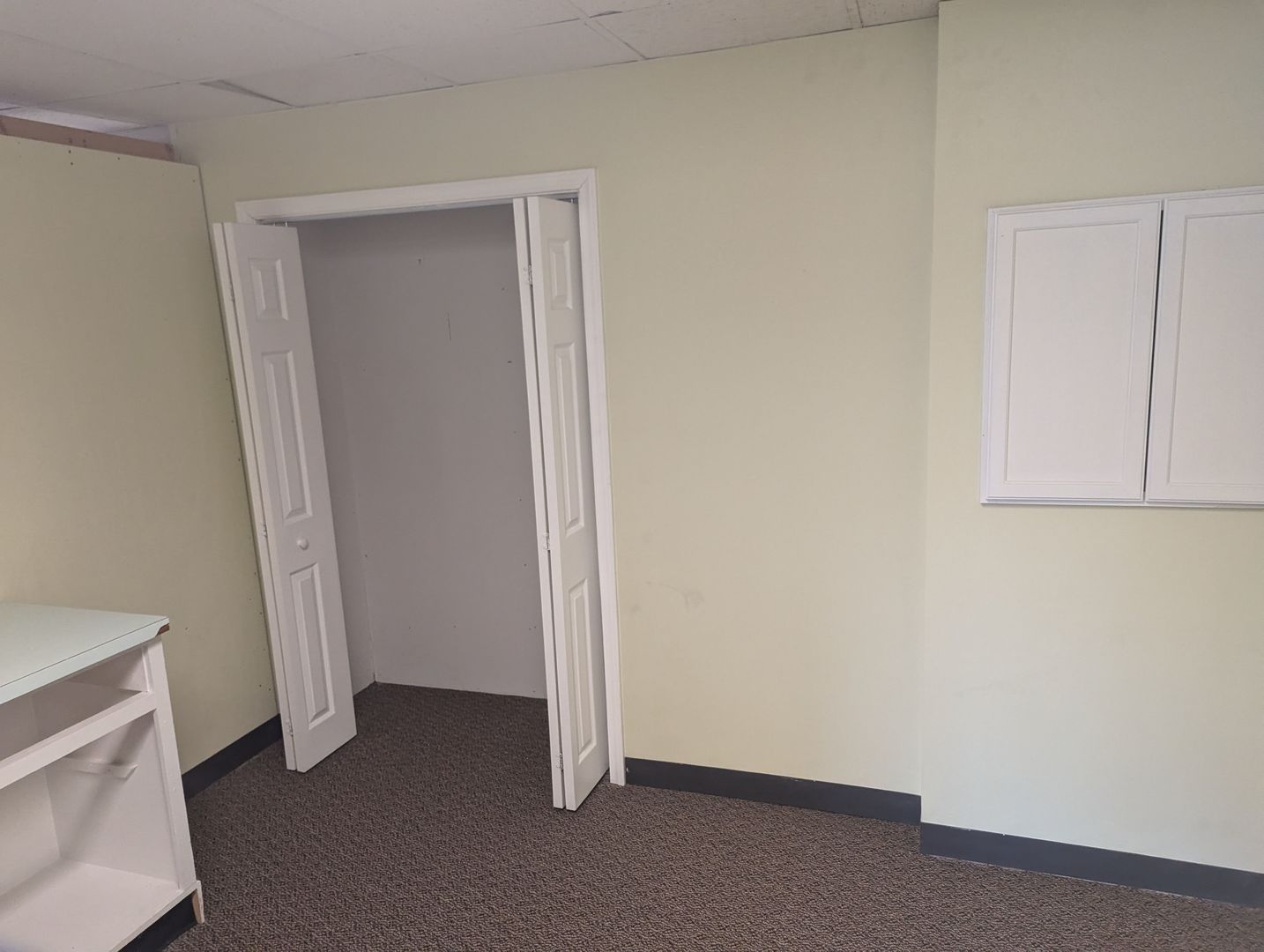 Palatine, Illinois 60067, United States, ,Residential,Active,235574