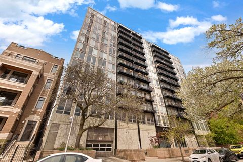 450 W Briar Place 8J Chicago IL 60657