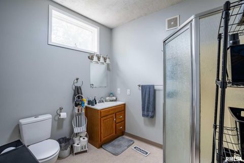 Tiny photo for 522 N DIVISION Street, Carterville, IL 62918 (MLS # QC4267513)