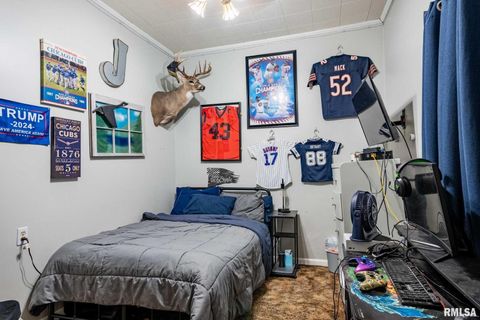 Tiny photo for 522 N DIVISION Street, Carterville, IL 62918 (MLS # QC4267513)