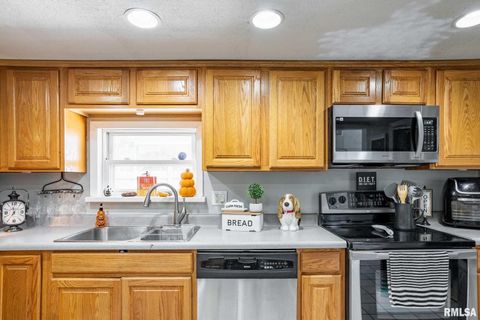 Tiny photo for 522 N DIVISION Street, Carterville, IL 62918 (MLS # QC4267513)