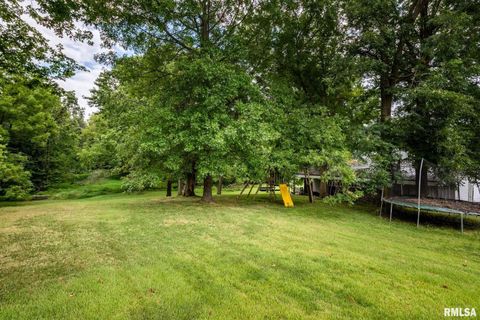Tiny photo for 522 N DIVISION Street, Carterville, IL 62918 (MLS # QC4267513)