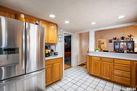 Tiny photo for 522 N DIVISION Street, Carterville, IL 62918 (MLS # QC4267513)