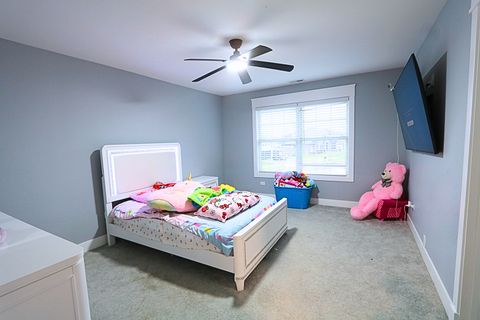 Tiny photo for Frankfort, IL 60423 (MLS # 12537484)