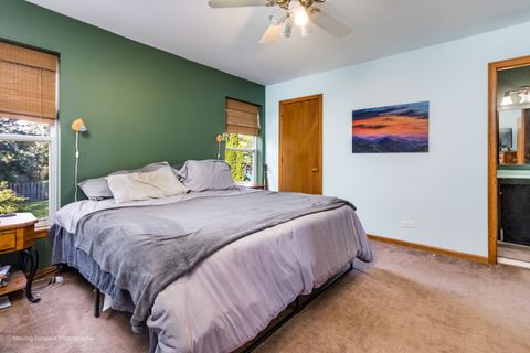 Tiny photo for 24860 Madison Street, Plainfield, IL 60544 (MLS # 12478241)