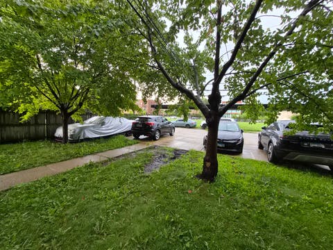 Tiny photo for 3745 S Michigan Avenue #2, Chicago, IL 60653 (MLS # 12736911)