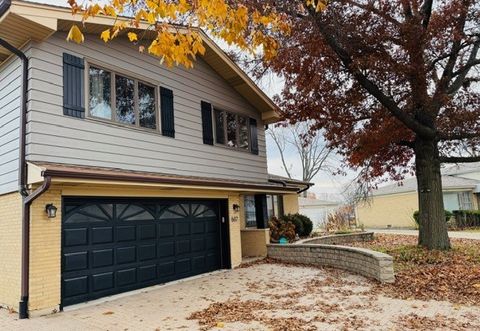 607 S Carol Lane Mount Prospect IL 60056