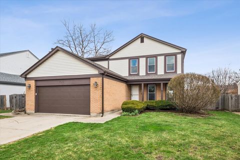 405 Caren Drive Buffalo Grove IL 60089