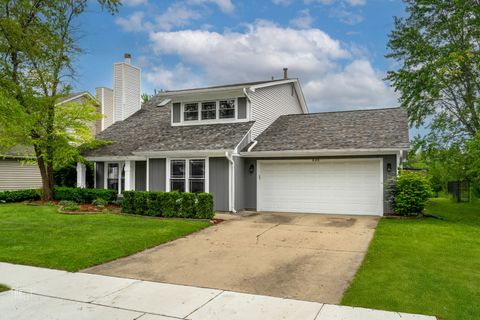 820 N DEXTER Lane Hoffman Estates IL 60169